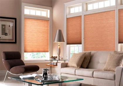 Motorized Blinds Service