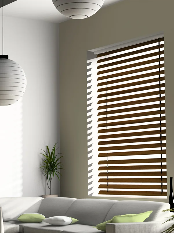 variety of blinds