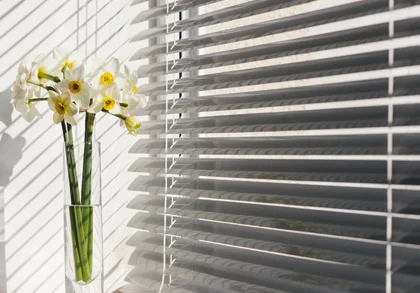 Venetian Blinds Service